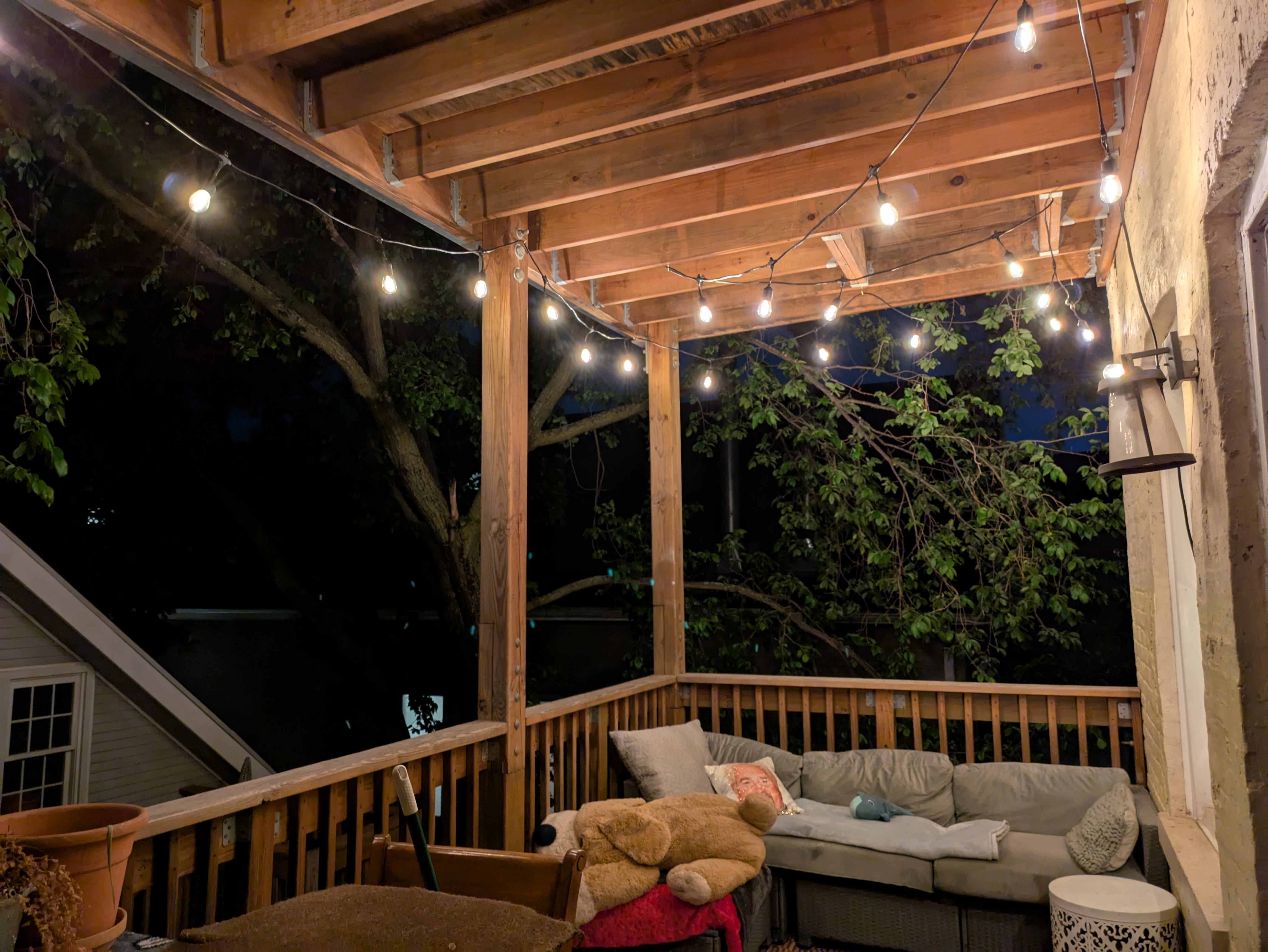 Back deck nestled in the tree canopy